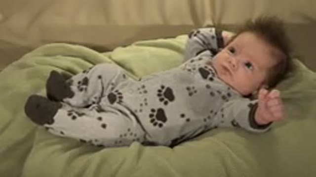 WESTMINSTER COLORADO-2015: A Baby Dressed In A Grey Jumpsuit With Animal Tracks