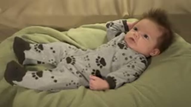 WESTMINSTER COLORADO-2015: Baby Boy Wakes Up And Looks Up