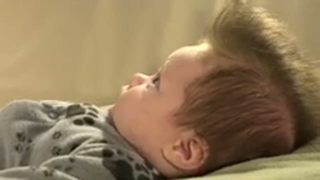 WESTMINSTER COLORADO-2015: Baby Laying Down Looking Up In A Grey Outfit With A