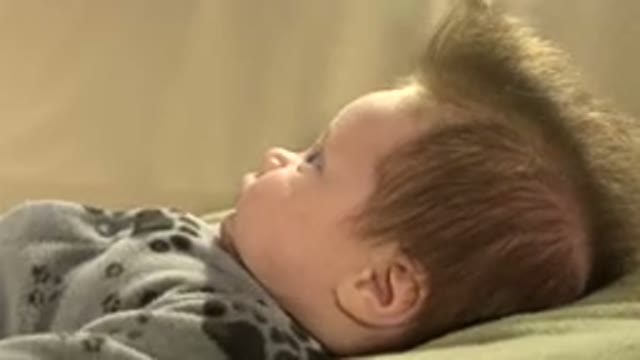 WESTMINSTER COLORADO-2015: Wide-Eyed Little Baby Taking In The World And