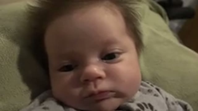 WESTMINSTER COLORADO-2015: Baby Boy Wakes Up And Looks At The Camera