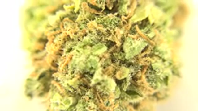 WESTMINSTER COLORADO-2015: Marijuana Flower In A Close Up Shot Spinning Around