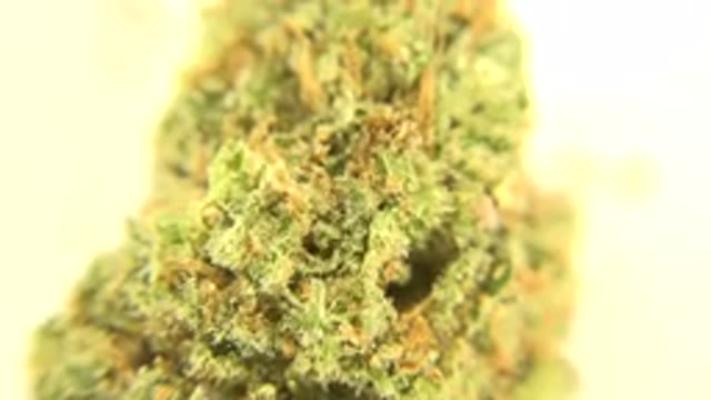 WESTMINSTER COLORADO-2015: Amazing Footage Zooming Right Next To Green And