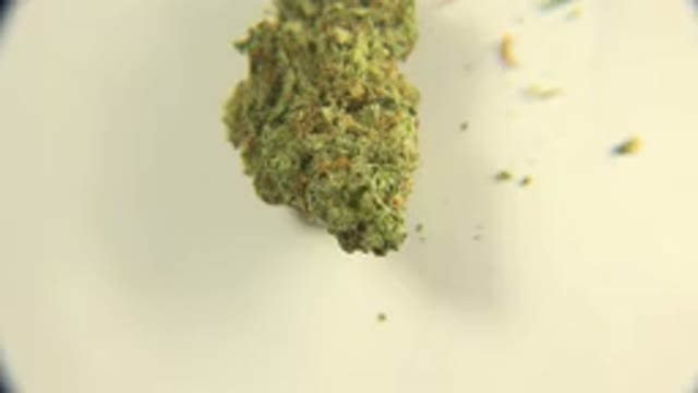 WESTMINSTER COLORADO-2015: A Close-Up of Fabric or Grass Clippings
