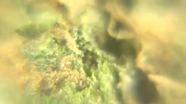 WESTMINSTER COLORADO-2015: Cannabis Plant Spinning Around In A Circle