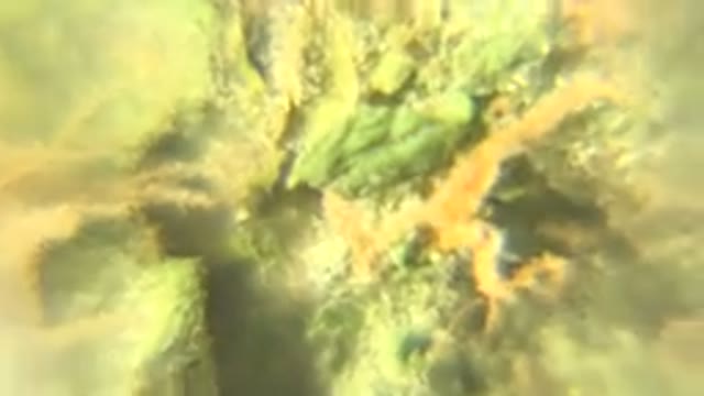WESTMINSTER COLORADO-2015: A Close Up Shot Of Marijuana Flower Spinning Around
