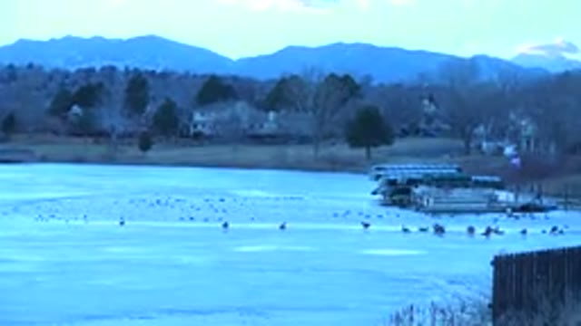 WESTMINSTER COLORADO-2015: Child Walking On Frozen Snow-Covered Lake