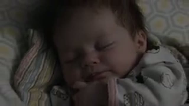 WESTMINSTER COLORADO-2015: A Little Baby Is Laying On The Floral Cot With A