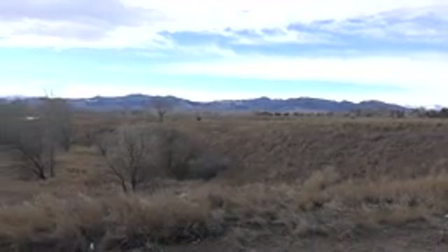 WESTMINSTER COLORADO-2015: Green Meadow Beautiful Meadow