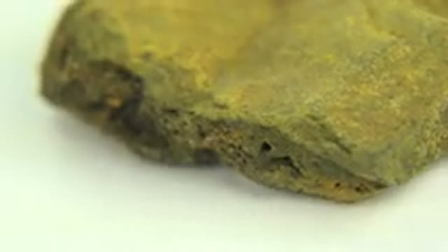 WESTMINSTER COLORADO-2015: Closeup Of Green Rock Holes Mossy Sponge White