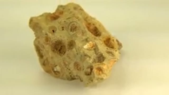 WESTMINSTER COLORADO-2015: Rotating Full Degree Small Gold Pock-Marked Stone