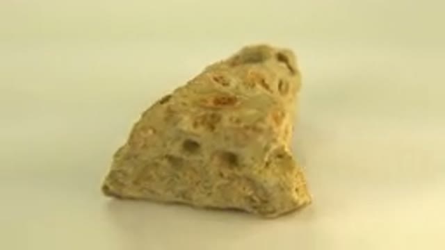 WESTMINSTER COLORADO-2015: Stone Erosion Piece Yellow Millions Years Old