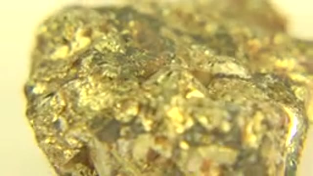 WESTMINSTER COLORADO-2015: A Piece of Rotating Gold Shining Brightly