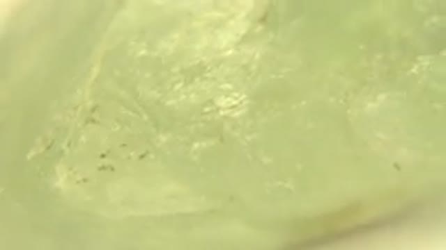 WESTMINSTER COLORADO-2015: A Greenish White Rock Spinning on a Revolving Table