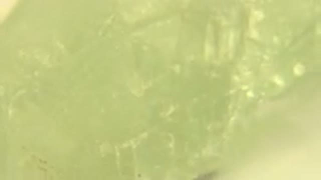 WESTMINSTER COLORADO-2015: Rotating Green Gem Showing The Different Fissures