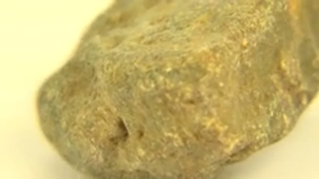 WESTMINSTER COLORADO-2015: Beautiful Orange Grey Golden Rock Spins Around