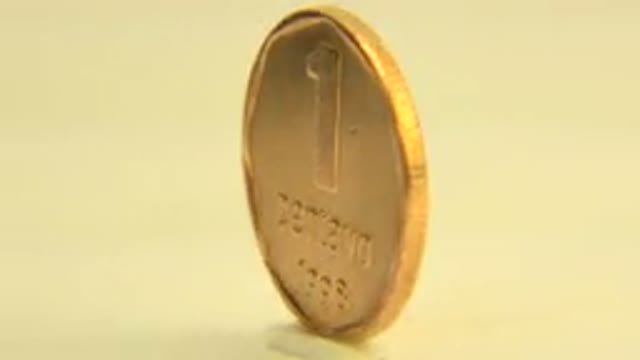 WESTMINSTER COLORADO-2015: Argentinian Golden Penny Spinning In Foreground With