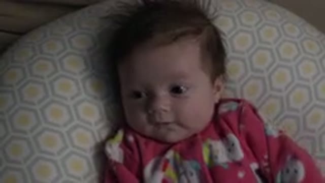 WESTMINSTER COLORADO-2015: Baby Girl Trying To Talk