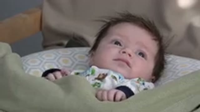 WESTMINSTER COLORADO-2015: Baby Boy Viewing His Surroundings