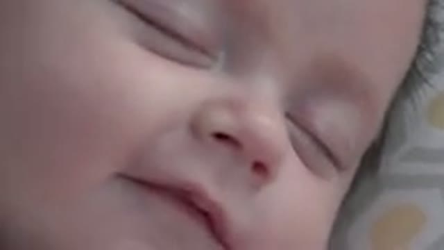 WESTMINSTER COLORADO-2015: Baby Beautiful White With Brown Eyes Sleepy