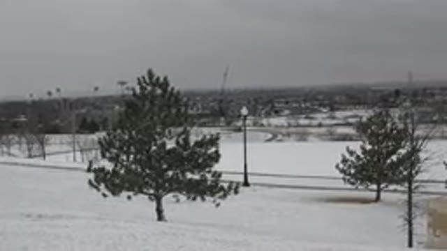 WESTMINSTER COLORADO-2015: A Tree In A Field With Roads And Sky And Snow