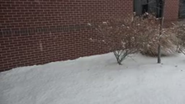 WESTMINSTER COLORADO-2015: A Snowy Day in the American West