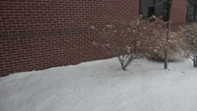 WESTMINSTER COLORADO-2015: A Brick Wall Outside A Building With Shrubs And Snow