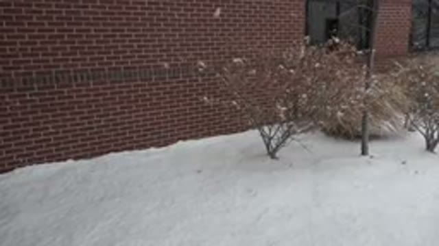 WESTMINSTER COLORADO-2015: Outside A Brick House Full Of Snow During The Winter