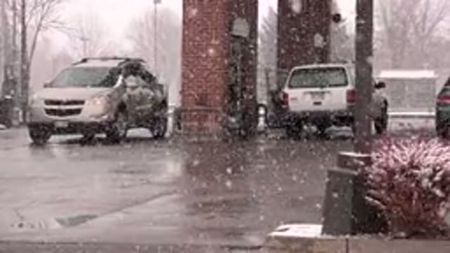 WESTMINSTER COLORADO-2015: Man Getting In Or Out Of Car During Heavy Snow