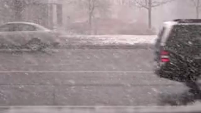 WESTMINSTER COLORADO-2015: Cars Trucks Driving Snowy Icy Conditions Trees Near