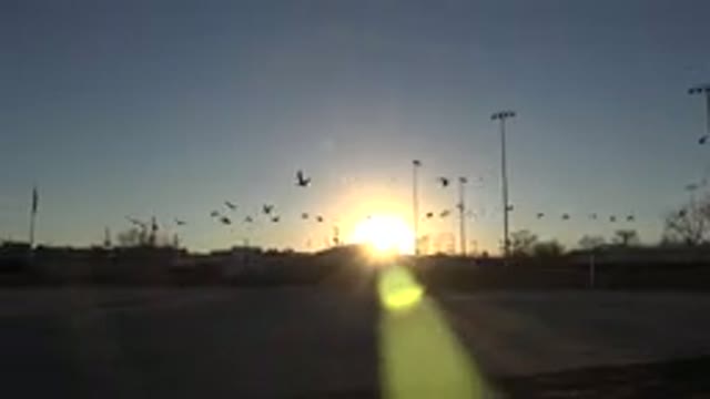 WESTMINSTER COLORADO-2015: A Group of Birds Flying in Sky in Front of Sun