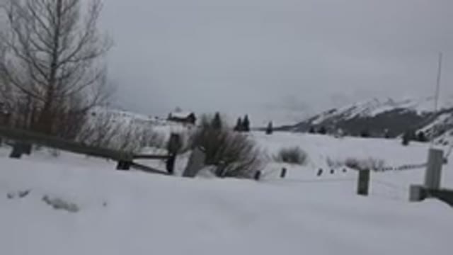 CRESTED BUTTE COLORADO-2015: Winter Came To The House