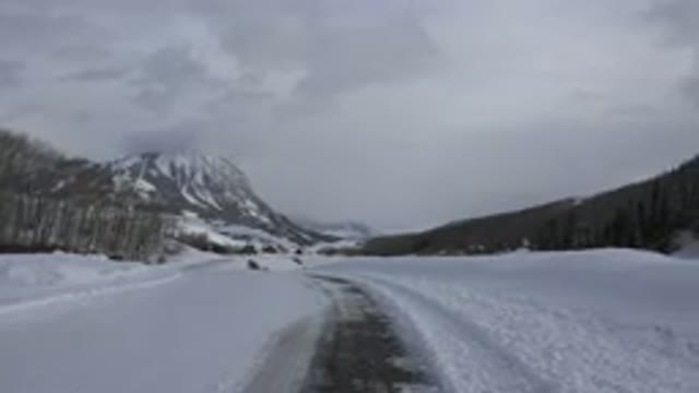 CRESTED BUTTE COLORADO-2015: A Snowy Plane With Trees And Mountain In The Background