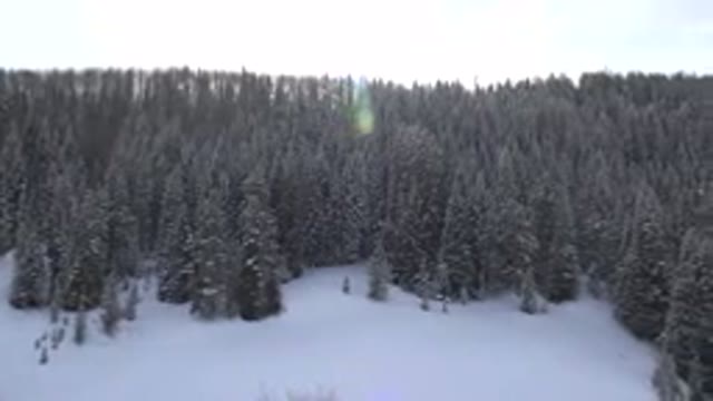 CRESTED BUTTE COLORADO-2015: Snowy Mountain With Pine Trees And A Beautiful Sky