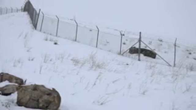 ARVADA COLORADO-2015: Snowy Countryside With Fence