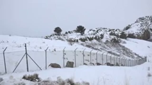 ARVADA COLORADO-2015: Snowy Hillside Divided By A Fence