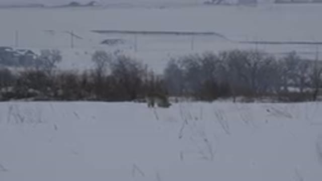 ARVADA COLORADO-2015: A Heavy Winter Season in Arvada