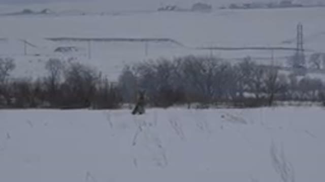 ARVADA COLORADO-2015: Animal Standing In A Snow Covered Field In Winter
