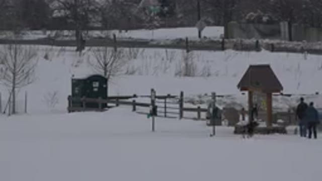 ARVADA COLORADO-2015: Two People and a Dog Walking in Snow-Covered Park Area