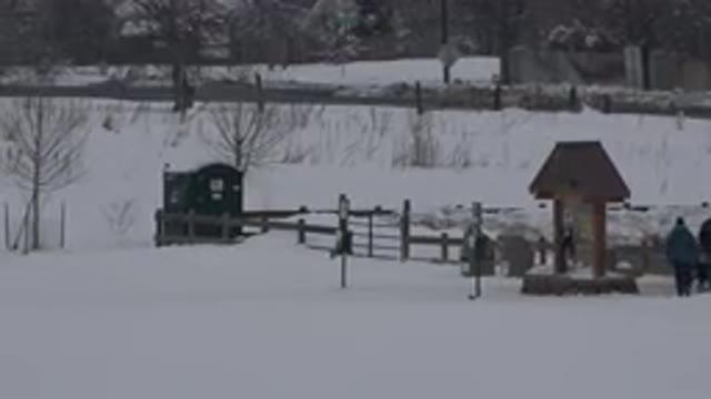 ARVADA COLORADO-2015: Winter In Arvada With Dog And Child Playing In Snow