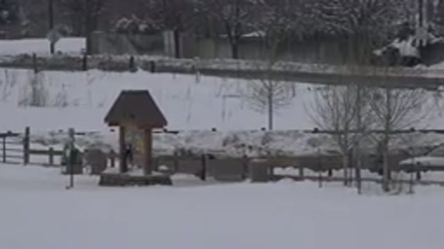 ARVADA COLORADO-2015: Person Walks Through Snow Covered Park Area And Past A