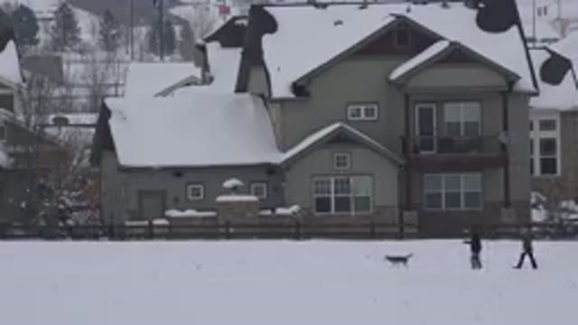 ARVADA COLORADO-2015: Two People Walk Dog Past Brown Building In Snow Covered