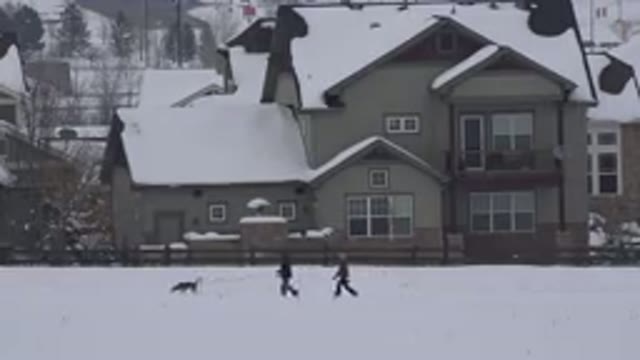 ARVADA COLORADO-2015: One Man Walking A Dog And Another Man Following Him On Snowy Road