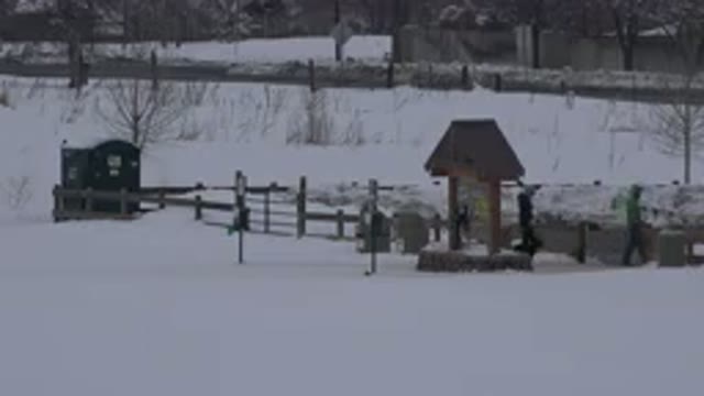 ARVADA COLORADO-2015: Dog Hunting In The Snow With A Man In Solitude