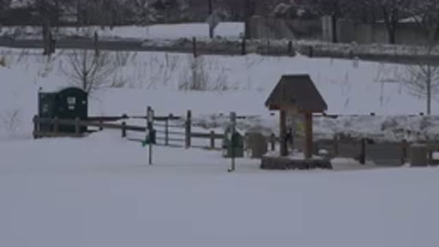 ARVADA COLORADO-2015: Green Port-A-Potty in Snow-Covered Field on a Cloudy Day