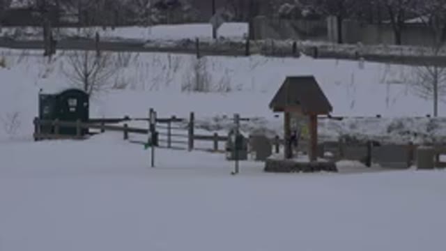 ARVADA COLORADO-2015: Abandoned Cabin and Fence in Snow-Covered Landscape