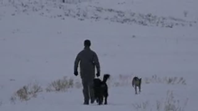 ARVADA COLORADO-2015: Winter Walk With Dog and Friend