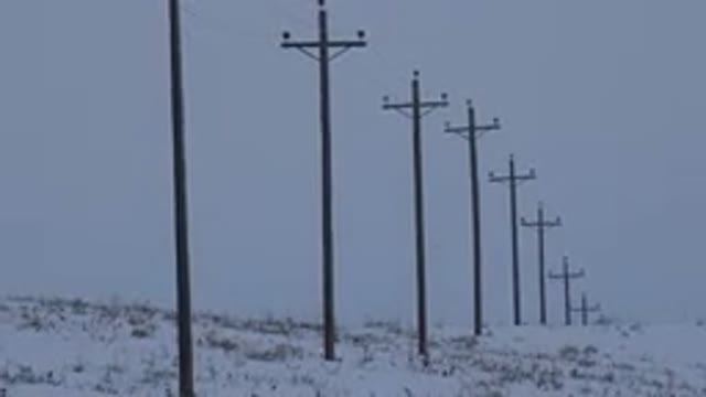 ARVADA COLORADO-2015: Line of Telephone or Utility Poles in Snow Covered Area
