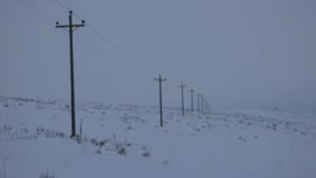 ARVADA COLORADO-2015: Scene During A Blizzard