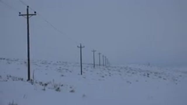 ARVADA COLORADO-2015: Telephone Poles In A Snow-Covered Field